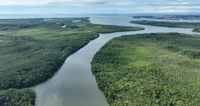 El Ministro del Ambiente supervisa labores de conservación en los Manglares de Tumbes