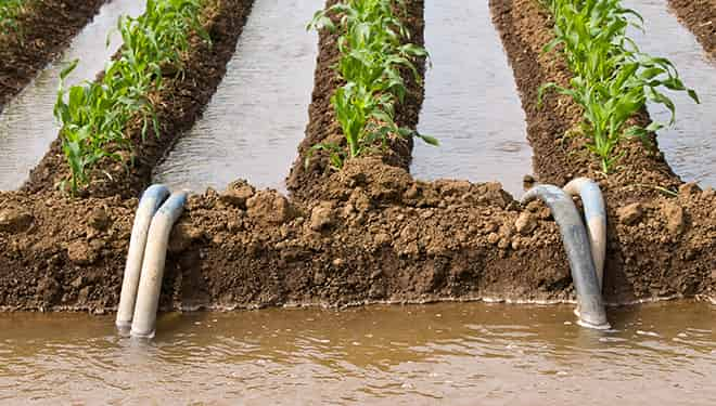 Reuso de Agua Residual Para Riego Agrícola y su Impacto en la Salud